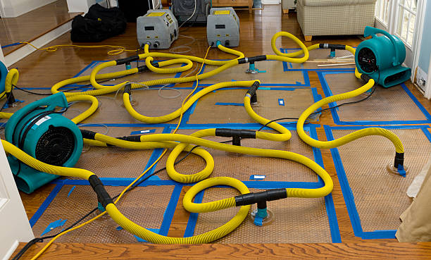 Professional Water Extraction technician working in Somonauk, IL